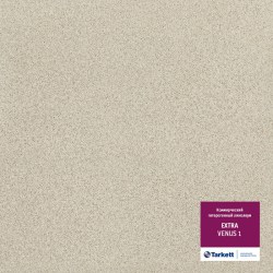 venus 18